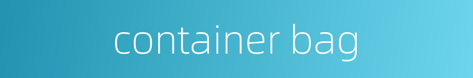 container bag的同义词