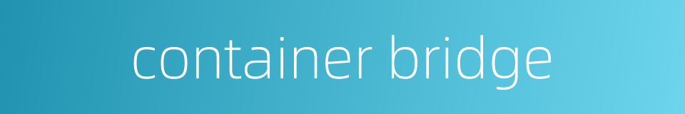container bridge的同义词