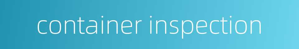 container inspection的同义词