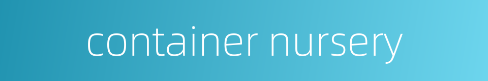 container nursery的同义词