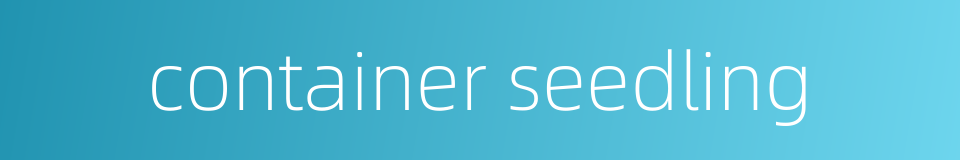 container seedling的同义词