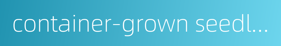 container-grown seedling的同义词