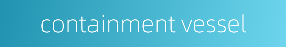 containment vessel的同义词