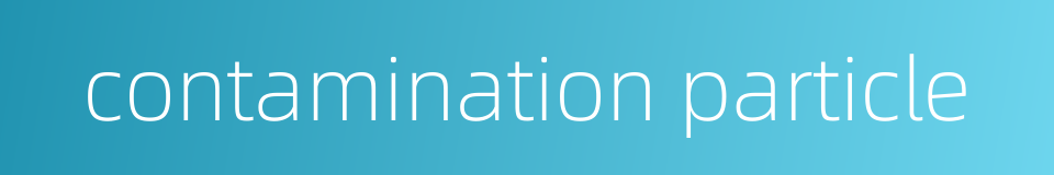contamination particle的同义词