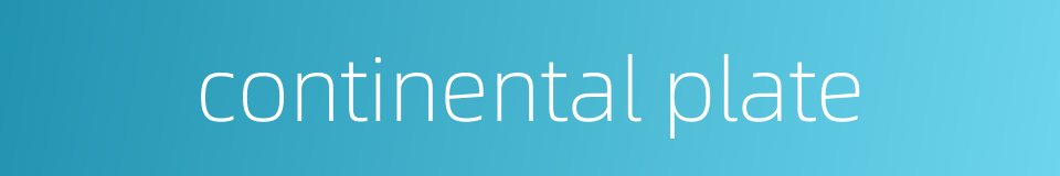 continental plate的同义词