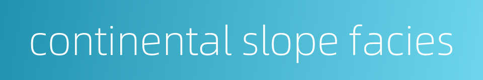 continental slope facies的同义词