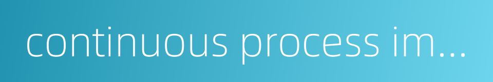 continuous process improvement的同义词
