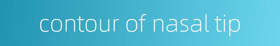 contour of nasal tip的同义词