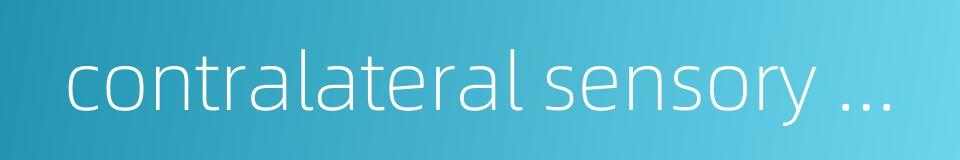 contralateral sensory disturbance的同义词