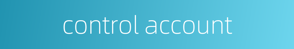 control account的同义词