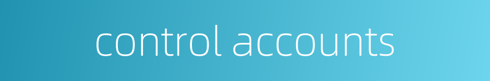 control accounts的同义词