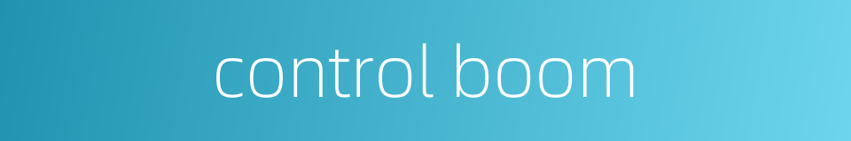 control boom的同义词