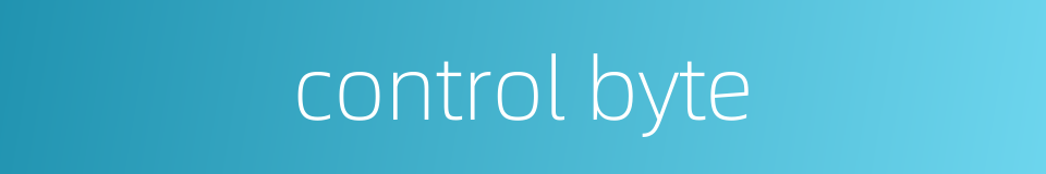 control byte的同义词