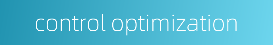 control optimization的同义词