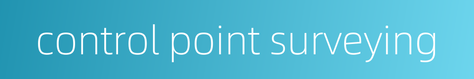 control point surveying的同义词