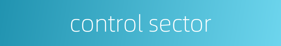 control sector的同义词
