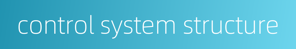 control system structure的同义词