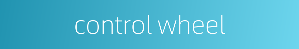control wheel的同义词