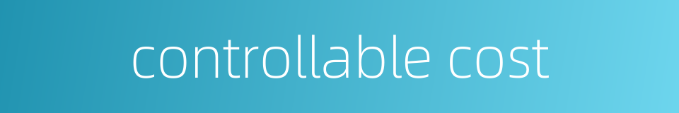 controllable cost的同义词