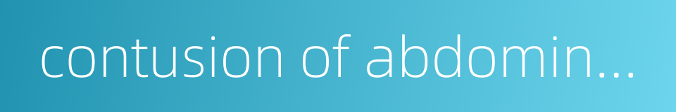 contusion of abdominal wall的同义词