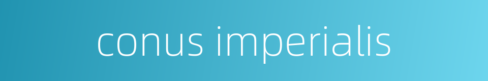conus imperialis的同义词