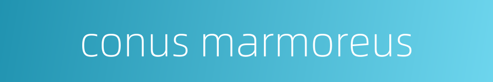 conus marmoreus的同义词