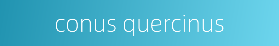 conus quercinus的同义词