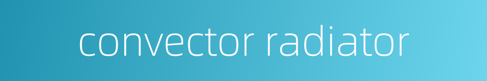 convector radiator的同义词