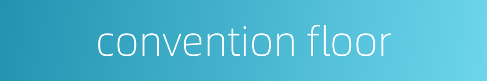 convention floor的同义词