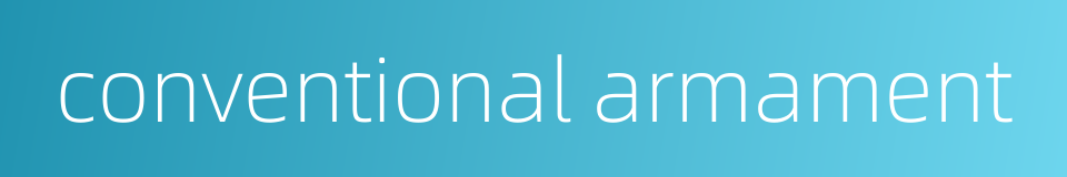 conventional armament的同义词