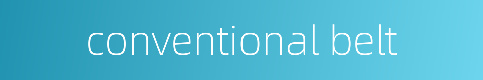 conventional belt的同义词