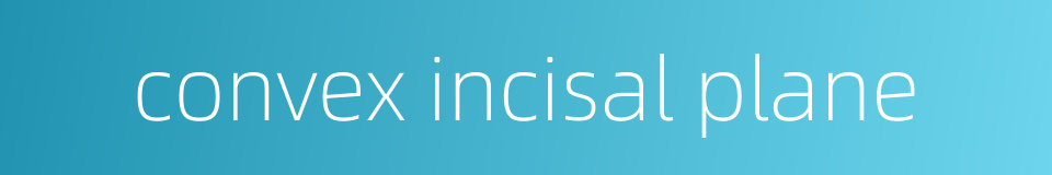 convex incisal plane的同义词
