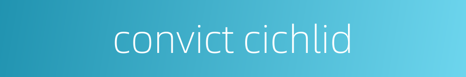 convict cichlid的同义词