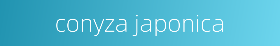 conyza japonica的同义词