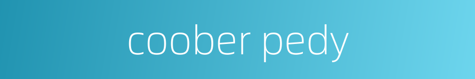 coober pedy的同义词