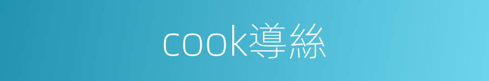 cook導絲的同義詞