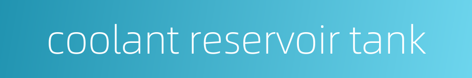 coolant reservoir tank的同义词