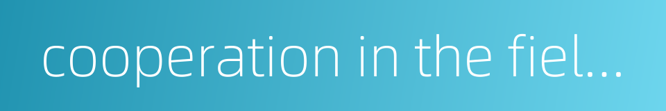 cooperation in the field of financing的同义词