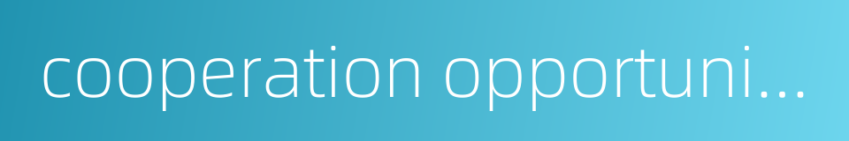 cooperation opportunities的同义词