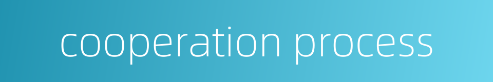 cooperation process的同义词