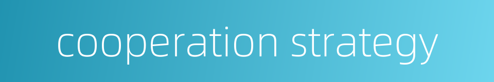 cooperation strategy的同义词