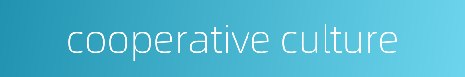 cooperative culture的同义词