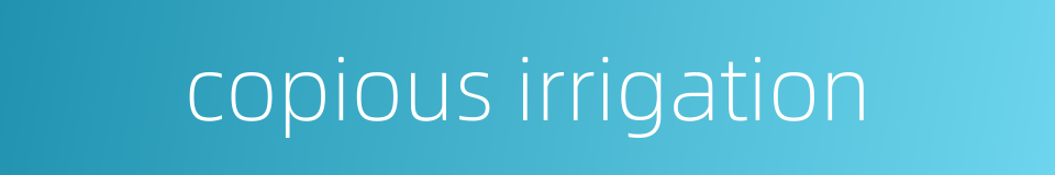 copious irrigation的同义词