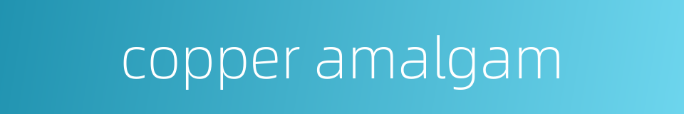 copper amalgam的同义词