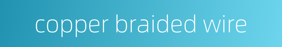 copper braided wire的同义词