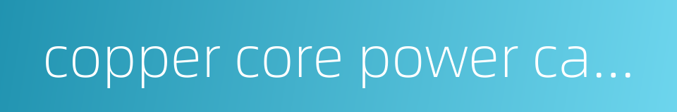 copper core power cable的同义词