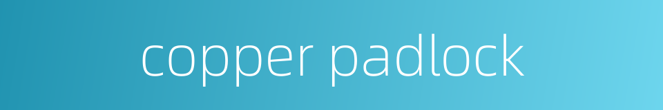 copper padlock的同义词