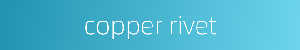 copper rivet的同义词
