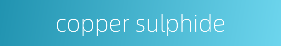 copper sulphide的同义词
