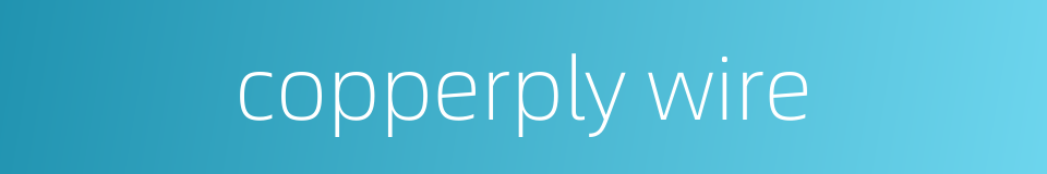 copperply wire的同义词